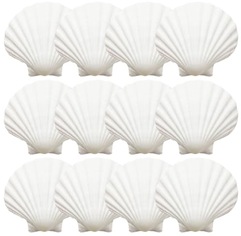 12 Piezas Concha de Vieiras Grande, 9-10cm Blancas Conchas de Mar Decoracion, Conchas de Vieira Natural Grandes,para Artesanías Bodas Decoran Fiestas TemáTicas de Playa, Peceras y Rellenos de Jarrones