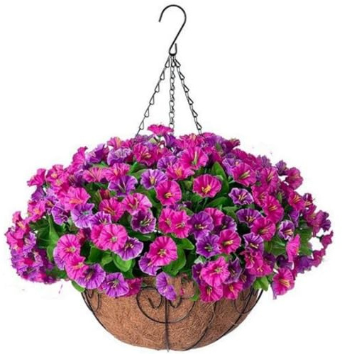 Artificial Hanging Flowers in Basket, Faux Silk Petunias Flower Arrangement,Coconut Lining Planter with Morning Glories Plants Patio Garden Porch Deck Spring Decor Purple