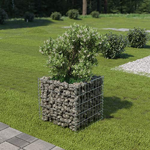 Iiaky Gabion Raised Bed Galvanised Steel 50x50x50 cm,Raised Garden Beds for Vegetables Large Metal Planter Box Steel Kit Flower Herb
