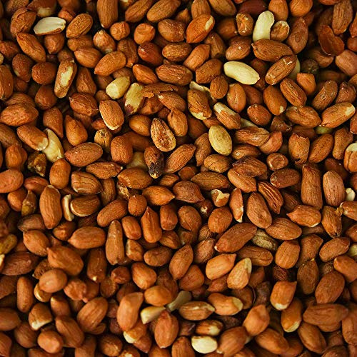 SQUAWK Cacahuetes Enteros - Alimentación de Semillas de Aves Silvestres Frescas en Jardines en Tinas para Aves (10L)
