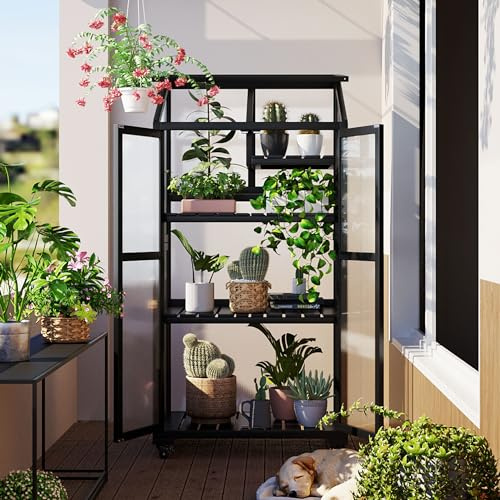 Merax Mini Greenhouse for Outdoors / Indoors, 62 inch Height Portable Wood Cold Frame with Wheels and Adjustable Shelves, Black