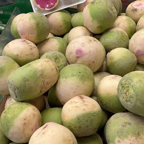 radieschen - radieschensamen - gemüsepflanzen hochbeet, seltene winterharte garten wintergemüse gemüsesamen 75samen