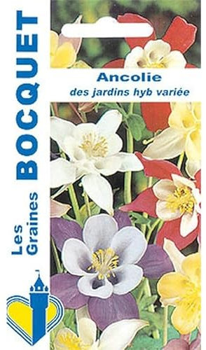 Sachet de graines de Ancolie des jardins variée - 0,4 g - fleur vivace - LES GRAINES BOCQUET