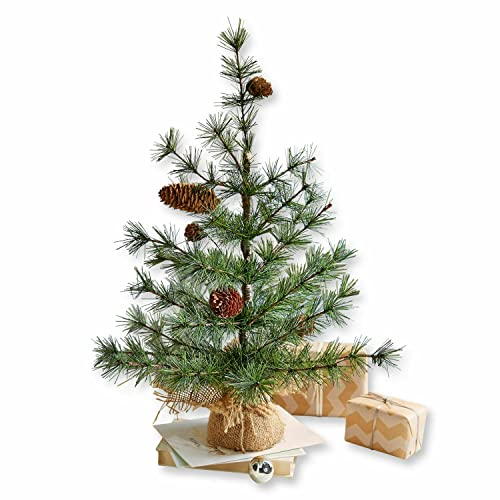 Loberon Deko-Baum Bohicon, echte Zapfen, Topf mit Jutesack Verkleidet, Festdekoration, Weihnachtsdekoration, Weihnachten, PVC, Eisen, Tannenzapfen, Zement, grün/braun