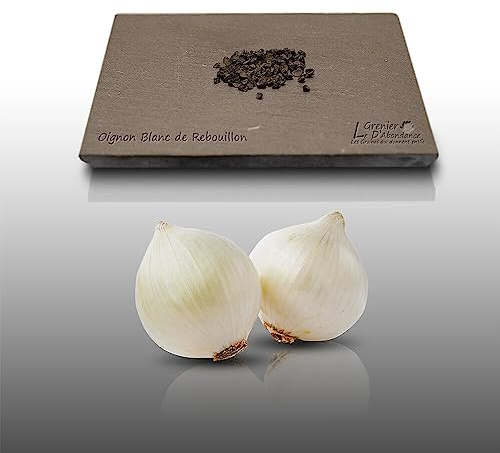 100 graines à semer - Le Grenier d'Abondance - OIGNON Blanc de Rebouillon - Allium stam