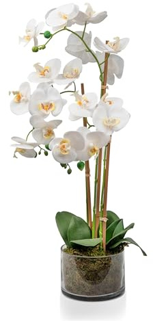 Crystals Artificial Orchid Flower in Pot – Realistic Faux Orchid Plant Decoration for Home, Office, or Event – Elegant White Floral Display – No Maintenance Required (Design 5)