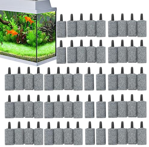 Pietre aeratrici per acquario, diffusore a pompa di ossigenazione per acquario, pietra aeratore per acquari d'acqua, terrari, stagni all'aperto, casa, ufficio