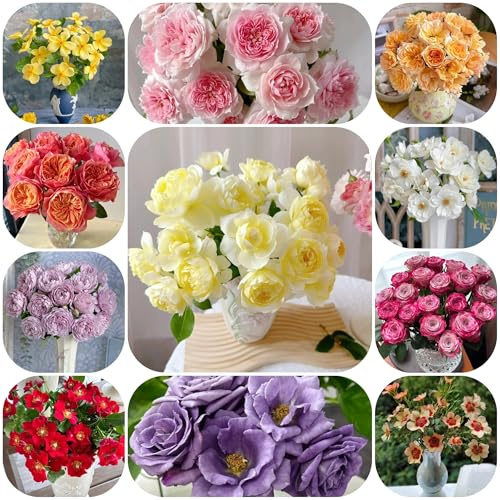 semillas de jardin de rosales aromáticas, para el balcón, rosa trepadora de para balcones, interior 180pcs