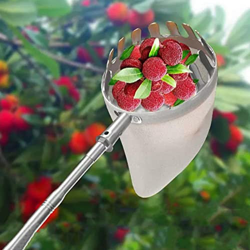 LekLai Obstbaumpflücker, Obstpflücker-Werkzeug, Obstpflückerstange Mit Korb-Teleskop, Obstpflückausrüstung Für Birnen-Zitronen, 4 M/5M/16Ft