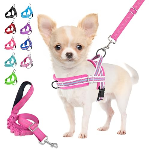 Eyein Hundegeschirr mit Leine für mittelgroße Kleine Hunde, Leichtgewicht | Weich Gepolstert & Reflektierend No-Pull Brustgeschirr mit 2 Leinenclips, verstellbar an Hals & Brust (Rosenrot, XS)