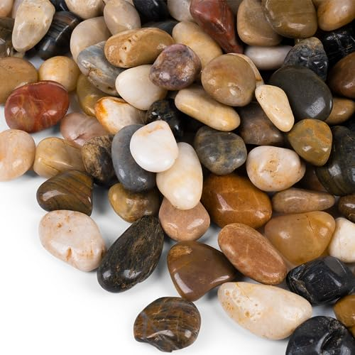 Calofulston Rocce di fiume per piante da 13,6 kg, pietra decorativa naturale da 2,5-4,4 cm, per vasi da interni o vasi o giardini esterni, ciottoli misti lucidati per fioriere, vengono forniti con