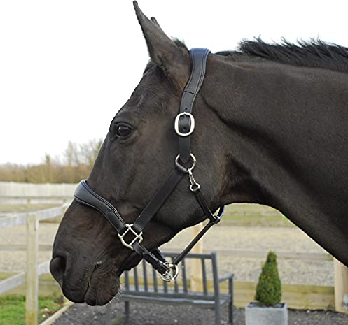 Rhinegold Softee Pro-Anatomisches Lederhalfter, Unisex, Softee Pro-Anatomic Halfter Extra Full Black, Schwarz, Kaltblut/Warmblut extragroß