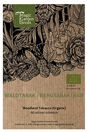 Tabaco del bosque (Nicotiana sylvestris) orgánico - aprox. 1000 semillas