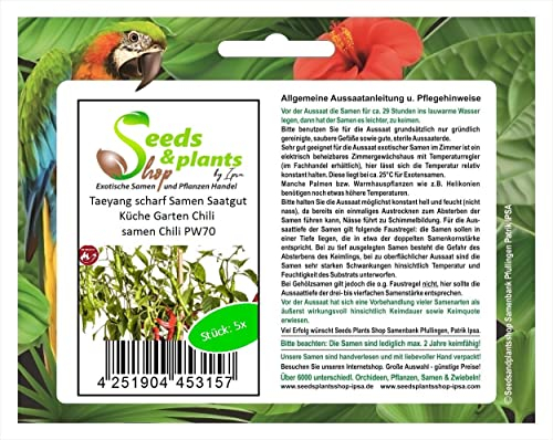 Stk - 5x Taeyang scharf Chili Garten Gemüse Pflanzen - Samen PW70 - Seeds & Plants Shop by Ipsa