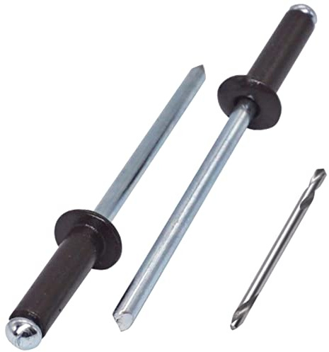 SKIR'CO (150 Stück) Blindnieten lackiert 4,0 x 16 mm, Aluminium Popnieten, Bohrer enthalten (Graubraun RAL 8019)