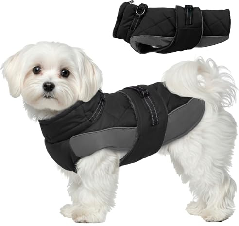 Katzinst Mantel Hund Hundejacke, Hundemantel mit Geschirr und Reflektierenden Streifen, Fleece Hundemantel für Kleine Hunde, Warmer Mantel für Hund Zwergschnauzer, Schwarz，S