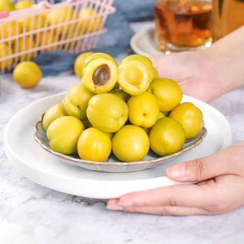 40 piezas Semillas de albaricoquero - exoticas de balcón resistentes, exóticas balcón jardín resistentes,