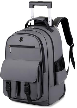 FANDARE Rullkappsäck för bärbar dator på 15,6 tum Lärarväska med hjul Herr Rolling Rucksack Ryggsäck PU-film Kontorsväskor Dagväska Kabinbagage Affärsresa, Grå, 34x22x50 cm