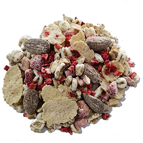 BIRCHER HERBSTGARTEN BIO MÜSLI mit gefriergetrockneten Erdbeeren I Haferkleie I Mandel & Haselnuss I Haferflocken I Vegan I 600g