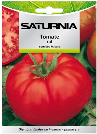 Semillas Tomate Raf (1.5 gramos) Semillas Verduras, Horticultura, Horticola, Semillas Huerto.