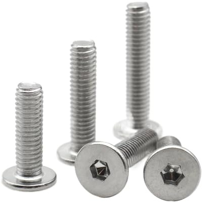 10 Stück M2-M8 304 Edelstahl-Innensechskantschrauben mit ultradünnem, superflachem Wafer-Kopf(10mm,M4 (10pcs))