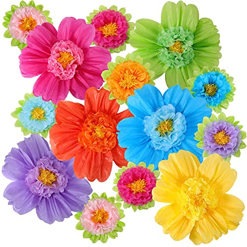 TaoBary Large Colorful Tissue Paper Flowers Giant Fiesta Paper Pom Poms Mexican Birthday Decorations for Wall Wedding Backdrop Centerpiece Party Supplies(20 and 10,Rainbow Color,24 Pcs)