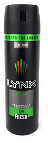 Lynx Secret Storage Box