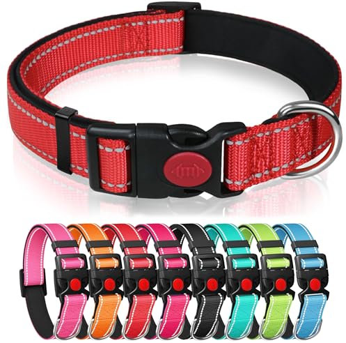 Reflective Nylon Dog Collar with Safety Buckle, Adjustable Pet Collars with Soft Neoprene Padding (Red, S)