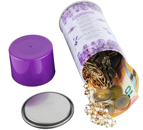 Deodorante per ambienti Evergreen Labs con scomparto segreto: il tuo nascondiglio segreto definitivo, perfetto per oggetti di valore a casa o in viaggio. Grande nascondiglio segreto, 6 cm x 13 cm.