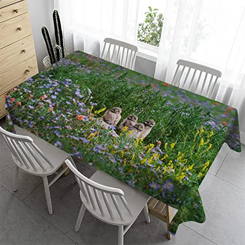 Syhi Qlty Rechteckig Biertisch Tischdecke 140x180 cm - Outdoor Tischdecke Abwaschbar Gartentischdecke Wasserabweisend Tischdecken für Küche Wohnzimmertisch - GrüNes Gras