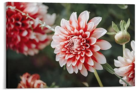 flechr Dahlien-Blumen, Pflanzenblätter, Knospe, Blüten, Flora, Poster, Kunstdruck, Wandfoto, Farbe, Poster, hängendes Bild, Familiendekoration, 50 x 75 cm