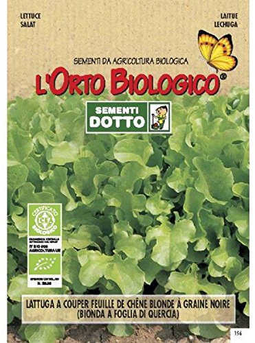 Idroponica Semi Biologici di Lattuga Quattro Stagioni