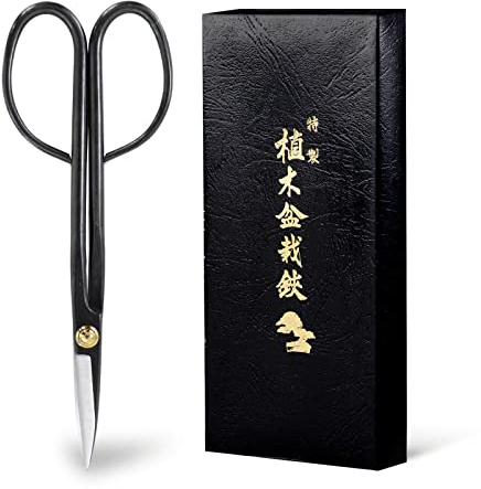 Wazakura Bonsai Schere - Twig Modell, Karbonstahl, 21 cm, Made in Japan - Schere zum Trimmen von Ästen, Blättern, Wurzeln und Trieben