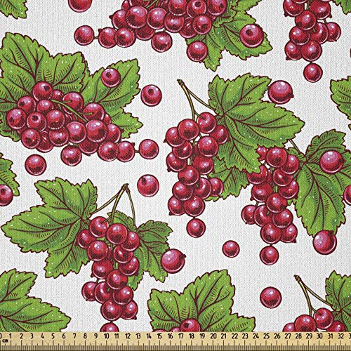 ABAKUHAUS Naturligt tyg som metervara, drubin fruktskörd, mikrofibertyg för dekorativt hantverk, 1 m (148 x 100 cm), grön-rubin