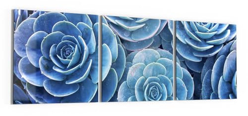 DEQORI Cuadros de cristal auténtico, diseño de plantas suculentas azules, horizontal, 3 piezas, 3 x 50 x 50 cm, decoración grande XXL, para salón, dormitorio, pasillo y cocina, decoración moderna de