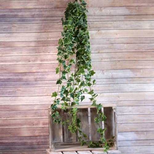 APAC 180cm Artificial Variegated Trailing Ivy Bush with 18 stems and 423 leaves, Silk Flower Plant Foliage for Floral Displays, Containers, Hanging Baskets, Home and Garden Decoration, Christmas