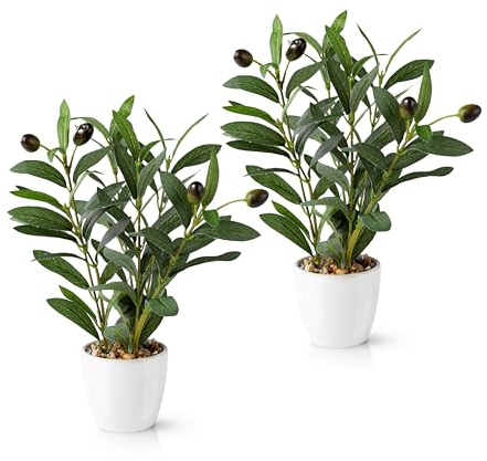 PASCH® Set med 2 konstgjorda olivträd (26 cm) i vita keramiska krukor: Konstväxter som riktiga | konstgjorda växter i kruka | Falsk växt: olivträd | konstgjort litet | konstgjorda blommor i kruka