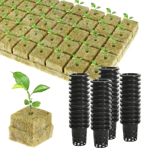 Lansls Lot de 50 Cubes en Laine De Roche avec Pots, Kit De Culture Hydroponique Intérieur Paniers, Laine De Roche Blocs Cubes De Culture Soilless, pour Culture Et La Transplantation De Semis