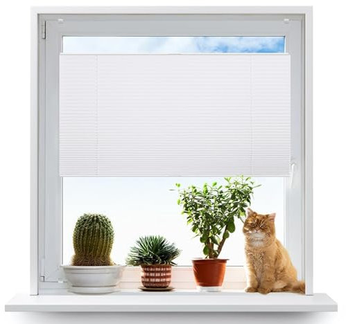 Faltrollos Für Fenster 20 x 50 cm Blickdicht - Sichtschutz - Sonnenschutz Plisseerollo Plisses Plisse inkl. Zubehör für Wohnzimmer, Weiß