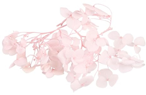Gatuida Fleurs Séchées Pétale Rose Fournitures DIY pour Décorations De Mariage Et Nail Art