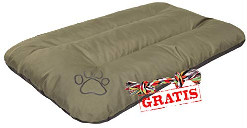 HobbyDog EKOZIE10 + Spieltau gratis Hundebett Ruheplatz Hundematratze Hundekissen Hundematte ECO Schlafplatz (3 Verschiedene Größen) (R1 (90 x 60 cm))