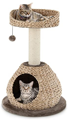 GOPLUS Arbre à Chat 72 CM en Tige de Massette, 2 Niveaux, avec Plateforme, Niche, Poteaux en Sisal, Coussin Souple, Boule pour Chats et Chatons, Marron et Beige