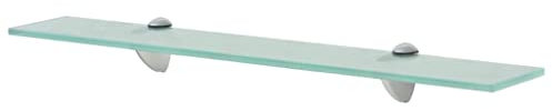 Wandregal 60x10 cm Wandboard, Regalboden, Schweberegal, Hängeregal, Regalsysteme für Wohnzimmer, Arbeitszimmer, Badezimmer, Küche, CDs, Deko Transparent