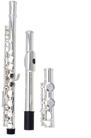Flöteninstrumente Für Anfänger Flöte Instrument Anfänger 16 Loch E Tonart Split Versilbert Professionelle Leistung