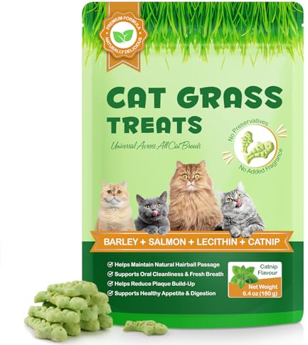 JSBNQRMZ Snack per Gatti con Erba Gatta e Menta Gatta 180g, Biscotti Croccanti al Salmone per Boli di Pelo e Igiene Dentale, Ricetta Naturale Senza Aromi Artificiali