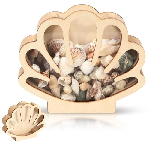 Seashell Display Case Wooden Seashell Display Box with Acrylic Panel Ocean Gifts Beach Gifts Sea Shell Storage Box Coastal Decor Seashell Display Box Shell Beads Shell Bracelet Storage Box