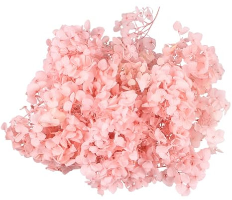 GALPADA 1 Confezione fiore conservato bouquet di fiori di ortensia decorazione floreale Materiali artigianali fiore secco petalo di fiore artigianato di fiori conservati rosa