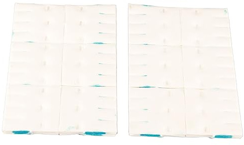 Haofy Recambios de Varita de Limpieza de Baño, 12 Piezas de Repuesto de Escobilla de Inodoro Desechable Conveniente Baño Antiobstrucción (Limón)