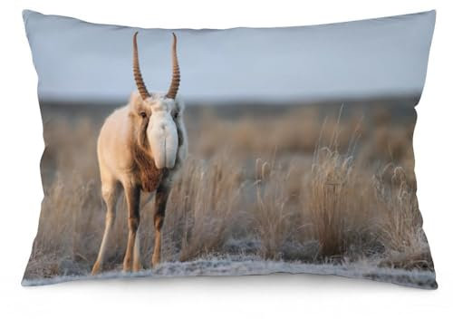 Zhimahou 75 x 50 cm große Kissenbezüge, Antilopen-Spaziergänge in Steppe in der Nähe von Wasserloch, Winter, Stuhlkissen, Sofakissen, Sitzkissenbezüge, Bett-Kissenbezüge