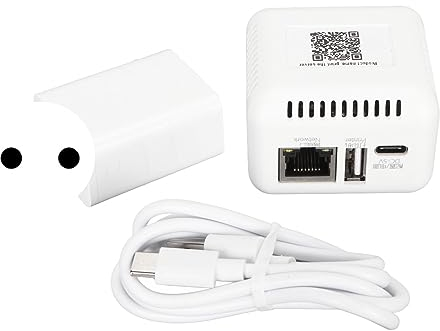 ciciglow Server di Stampa di Rete USB 2.0, Server di Condivisione di Stampa LAN per Stampanti USB Adattatore per Server di Stampa per Computer per XP o Versioni Successive, (Spina